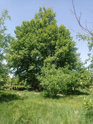 عکس باغ آستانه چاه خاصه