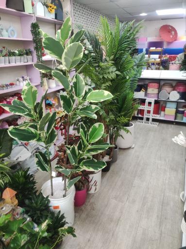 عکس گلفروشی خانم گل