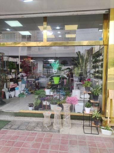 گلفروشی خانم گل