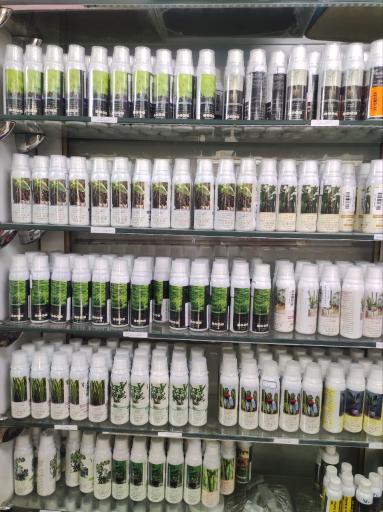 عکس گلفروشی خانم گل