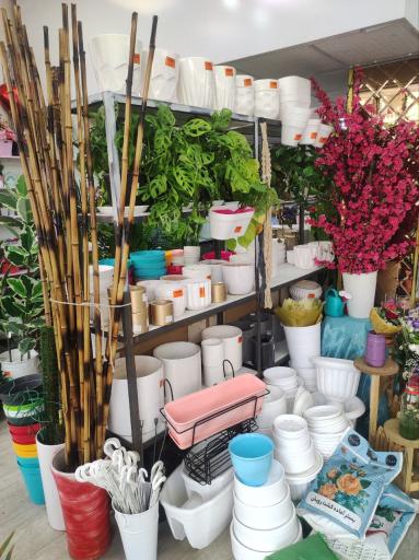 گلفروشی خانم گل