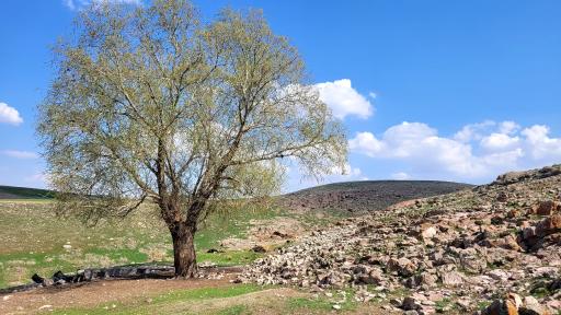 عکس حاجی میر