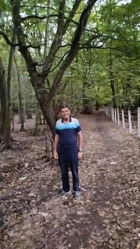 عکس جنگل بونده