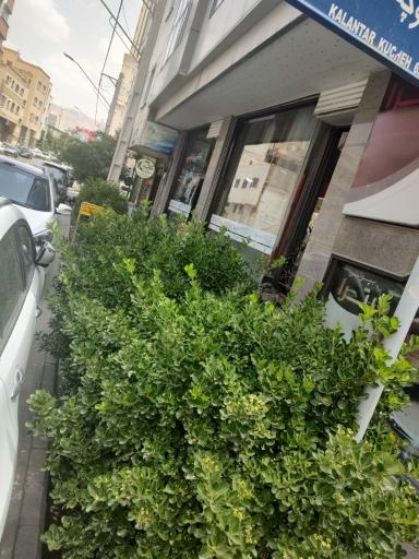 عکس خشکشویی آخارسو