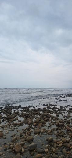 عکس ساحل حسن بلبل