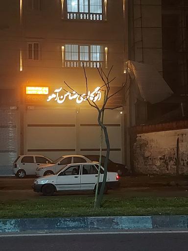 عکس اتو گالری ضامن آهو