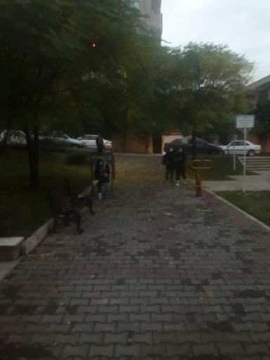 عکس پارک و فضای سبز فردجهان 