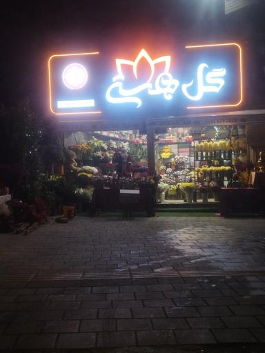 عکس گل بهشتی