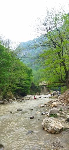 عکس تنگه چهل چای