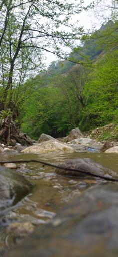 عکس تنگه چهل چای