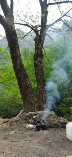 عکس تنگه چهل چای