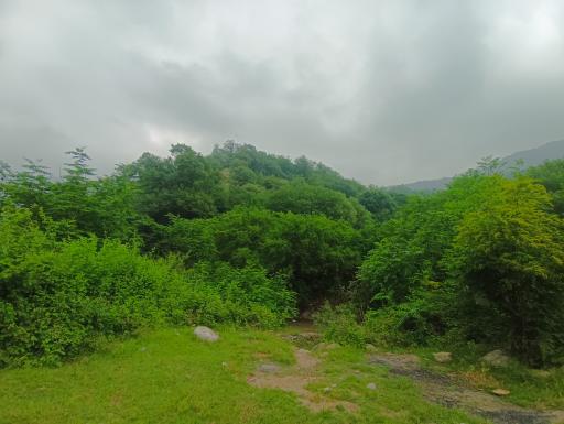 عکس تنگه چهل چای