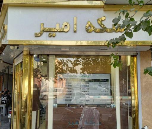 عکس سکه امیر 