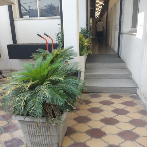 عکس کافه زون