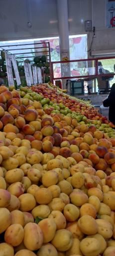 عکس بازار میوه و تره بار سما