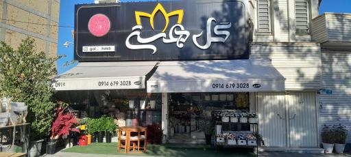 عکس گل هستی