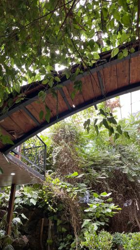 عکس کافه رستوران ویلا