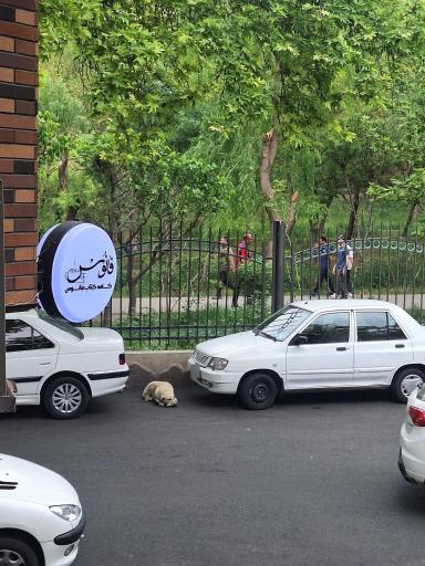 عکس کافه کتاب فانوس