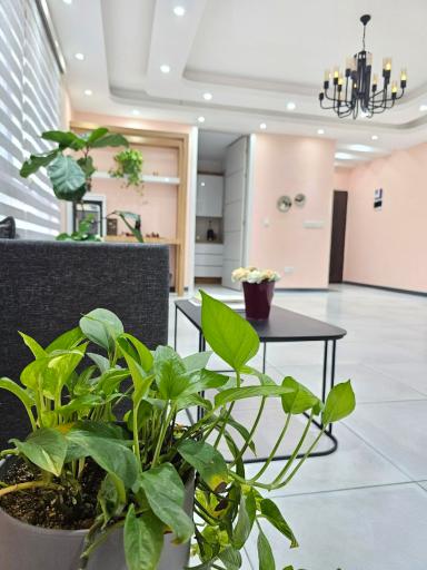 عکس مطب مامایی لیلا رواز 