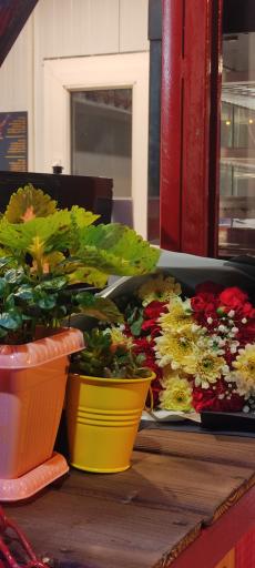 عکس سوخاری سولند