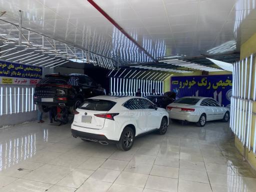 عکس تشخیص رنگ خودرو الهایی