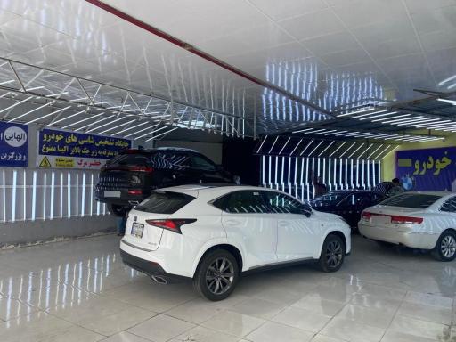 عکس تشخیص رنگ خودرو الهایی