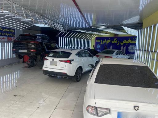 عکس تشخیص رنگ خودرو الهایی