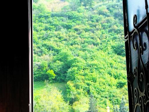 عکس اقامتگاه رایکا