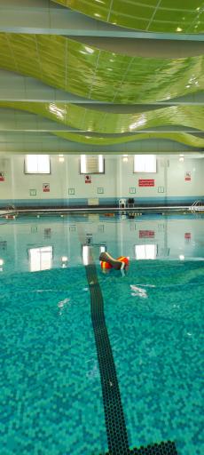 عکس استخر سرپوشیده سلامت