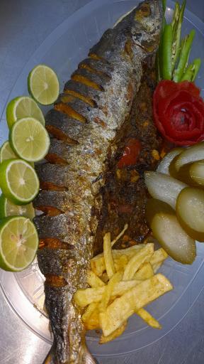 عکس بیرون بر شیراز