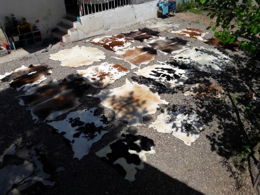 عکس کارگاه چرم و پوست و سراجی سنتی فانوس