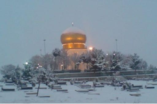 عکس علی آباد گونه