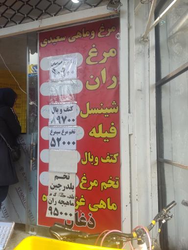 عکس مرغ و ماهی سعیدی