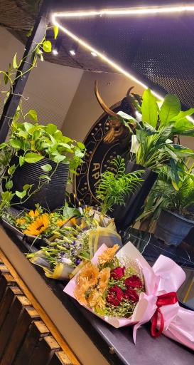 عکس کافه رستوران آپیس