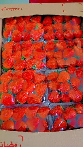 عکس میوه سرای شاهراد