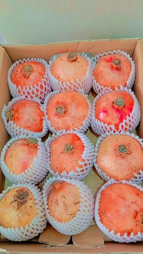 عکس میوه سرای شاهراد
