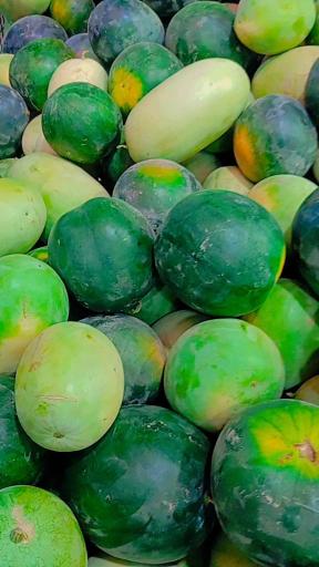 عکس میوه سرای شاهراد