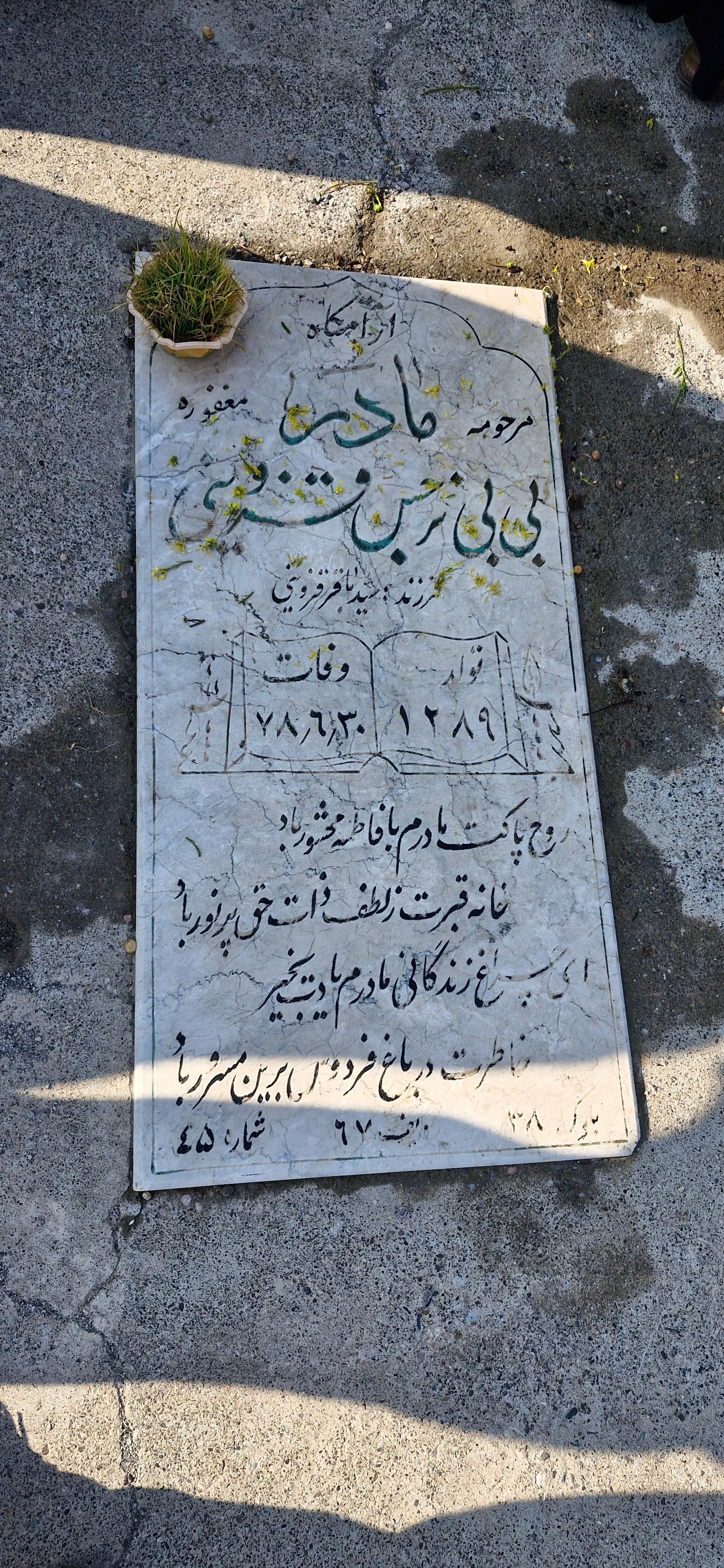 عکس مزار نرجس قزوینی