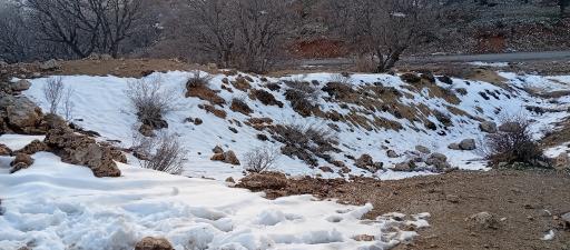 عکس تنگه ارغوان