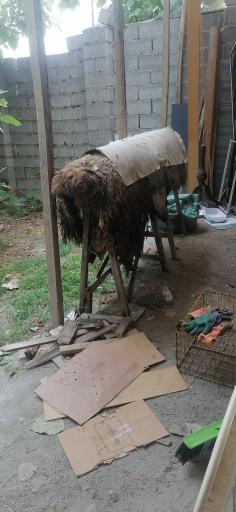 عکس کارگاه چرم و پوست و سراجی سنتی فانوس