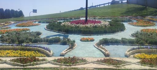 عکس فضای سبز قائم