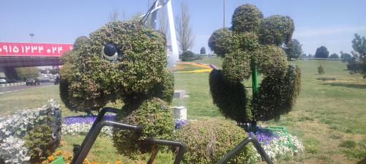 عکس فضای سبز قائم