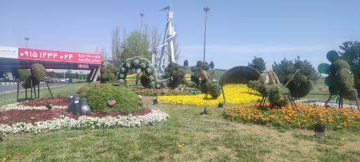 عکس فضای سبز قائم