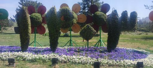 عکس فضای سبز قائم