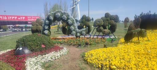 عکس فضای سبز قائم