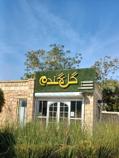 عکس گلفروشی گل گندم 