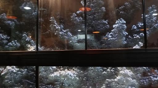 عکس کافه ماهان 