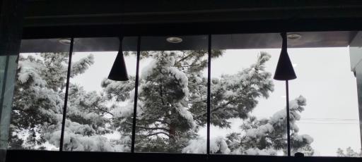 عکس کافه ماهان 