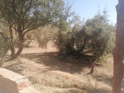 عکس منطقه گردشگری چشمه آب گرم ورتون