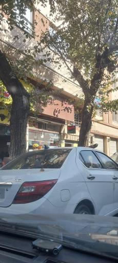 عکس پیتزا ساندویچ امین